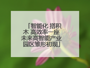 智能化 搭积木 高效率一座未来高智能产业园区雏形初现