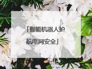 智能机器人护航电网安全