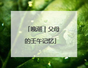 晚潮｜父母的壬午记忆