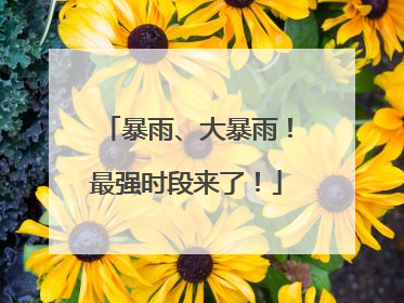 暴雨、大暴雨！最强时段来了！