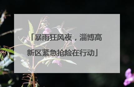 暴雨狂风夜，淄博高新区紧急抢险在行动