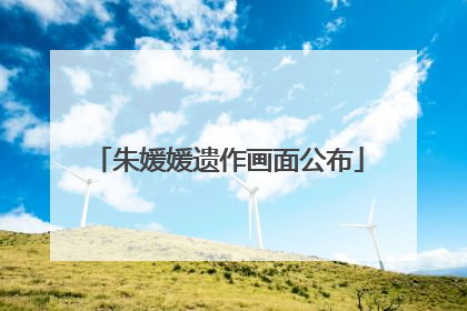 朱媛媛遗作画面公布