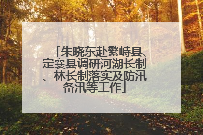 朱晓东赴繁峙县、定襄县调研河湖长制、林长制落实及防汛备汛等工作