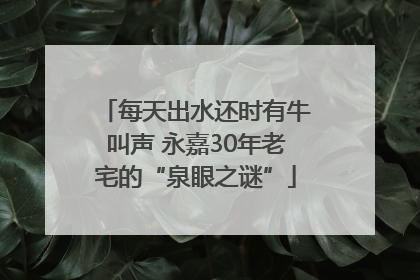 每天出水还时有牛叫声 永嘉30年老宅的“泉眼之谜”