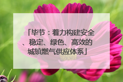 毕节：着力构建安全、稳定、绿色、高效的城镇燃气供应体系
