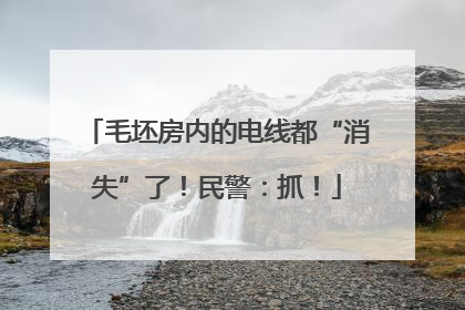 毛坯房内的电线都“消失”了！民警：抓！