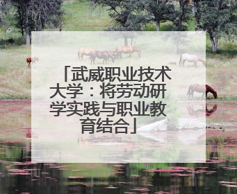 武威职业技术大学：将劳动研学实践与职业教育结合