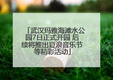 武汉玛雅海滩水公园7日正式开园 后续将推出夏浪音乐节等精彩活动