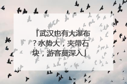 武汉也有大瀑布？水势大，夹带石块，游客莫深入