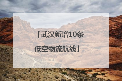 武汉新增10条低空物流航线