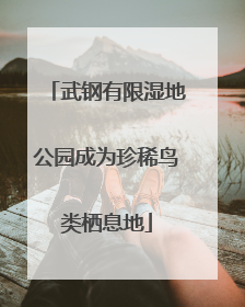 武钢有限湿地公园成为珍稀鸟类栖息地