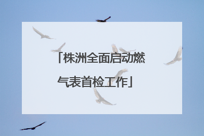 株洲全面启动燃气表首检工作