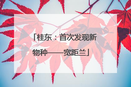 桂东：首次发现新物种——宽距兰