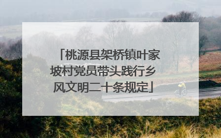 桃源县架桥镇叶家坡村党员带头践行乡风文明二十条规定