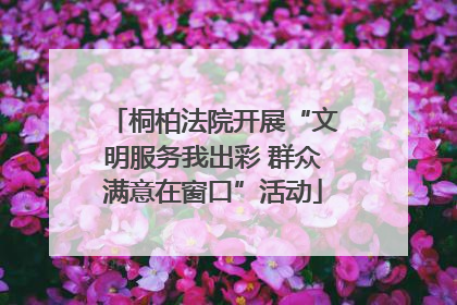 桐柏法院开展“文明服务我出彩 群众满意在窗口”活动