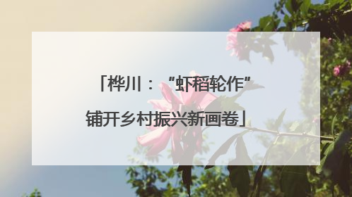 桦川：“虾稻轮作”铺开乡村振兴新画卷