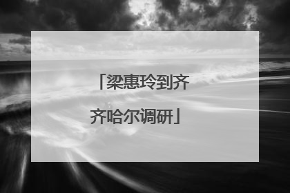 梁惠玲到齐齐哈尔调研