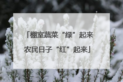 棚室蔬菜“绿”起来 农民日子“红”起来