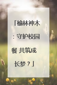 榆林神木：守护校园餐 共筑成长梦？