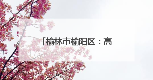 榆林市榆阳区：高考首日 莘莘学子执笔为剑 逐梦青春