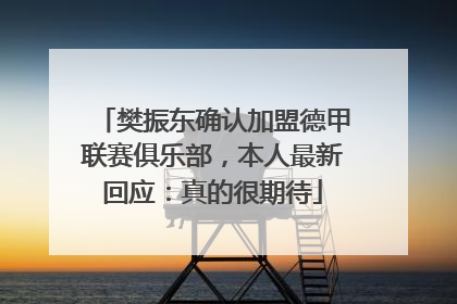 樊振东确认加盟德甲联赛俱乐部，本人最新回应：真的很期待