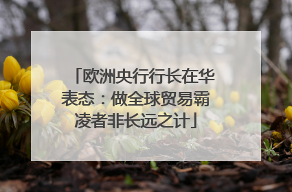 欧洲央行行长在华表态：做全球贸易霸凌者非长远之计