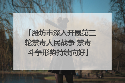 潍坊市深入开展第三轮禁毒人民战争 禁毒斗争形势持续向好