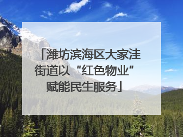 潍坊滨海区大家洼街道以“红色物业”赋能民生服务