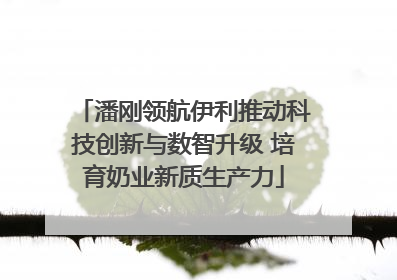 潘刚领航伊利推动科技创新与数智升级 培育奶业新质生产力