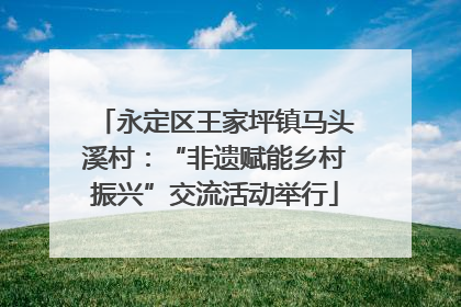 永定区王家坪镇马头溪村：“非遗赋能乡村振兴”交流活动举行