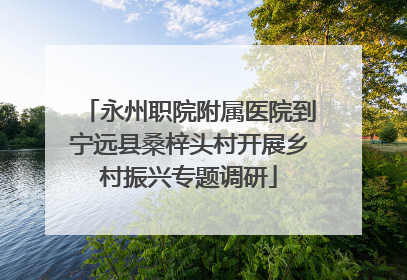 永州职院附属医院到宁远县桑梓头村开展乡村振兴专题调研