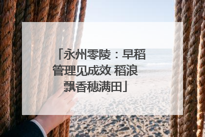 永州零陵：早稻管理见成效 稻浪飘香穗满田