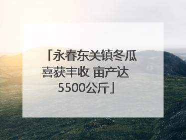 永春东关镇冬瓜喜获丰收 亩产达5500公斤