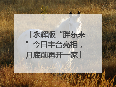 永辉版“胖东来”今日丰台亮相，月底前再开一家