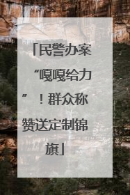 民警办案“嘎嘎给力”！群众称赞送定制锦旗