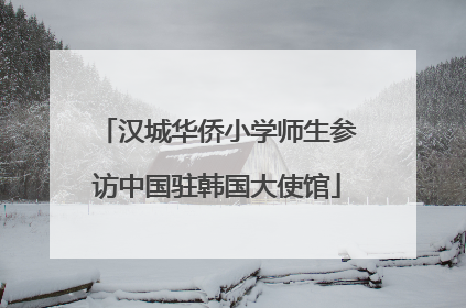 汉城华侨小学师生参访中国驻韩国大使馆