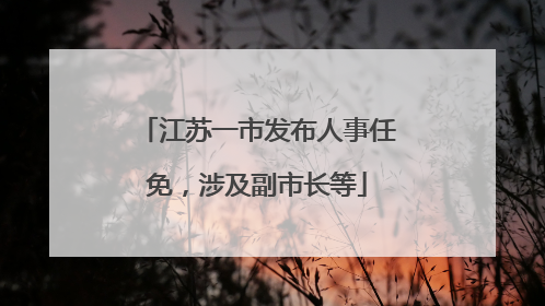 江苏一市发布人事任免，涉及副市长等