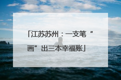 江苏苏州：一支笔“画”出三本幸福账