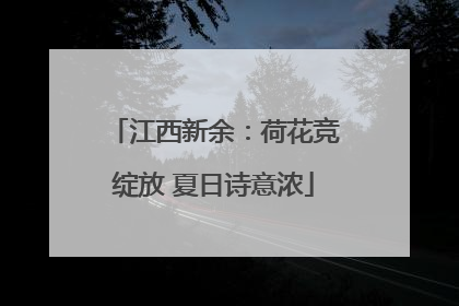 江西新余：荷花竞绽放 夏日诗意浓