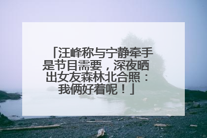 汪峰称与宁静牵手是节目需要，深夜晒出女友森林北合照：我俩好着呢！