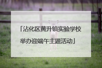 沾化区黄升镇实验学校举办迎端午主题活动