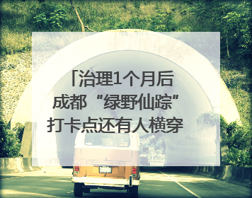 治理1个月后 成都“绿野仙踪”打卡点还有人横穿马路去拍照吗？｜民情瞭望