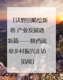 沃野田畴绘新卷 产业发展谱新篇——陕西岚皋乡村振兴走访见闻