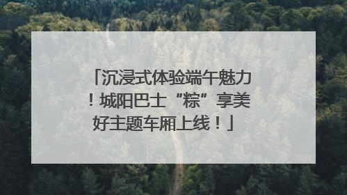 沉浸式体验端午魅力！城阳巴士“粽”享美好主题车厢上线！
