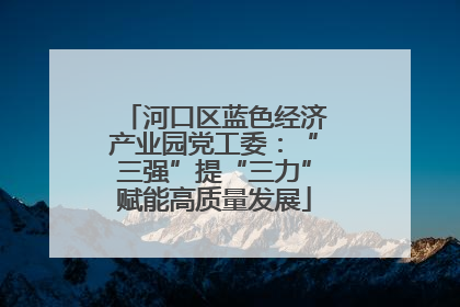 河口区蓝色经济产业园党工委：“三强”提“三力”赋能高质量发展