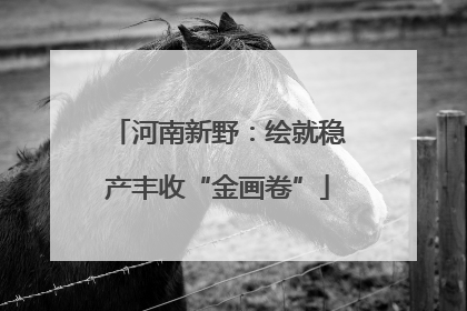河南新野：绘就稳产丰收“金画卷”