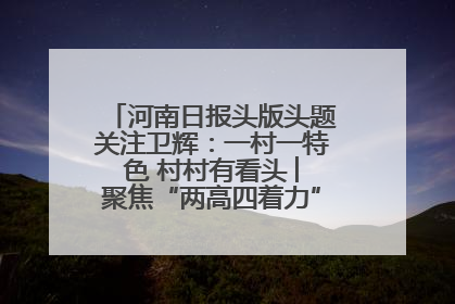 河南日报头版头题关注卫辉：一村一特色 村村有看头 ︳聚焦“两高四着力”·一“县”观察