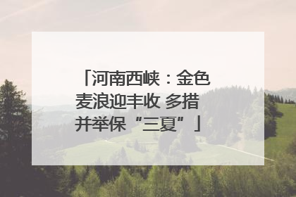 河南西峡：金色麦浪迎丰收 多措并举保“三夏”