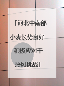 河北中南部小麦长势良好 积极应对干热风挑战