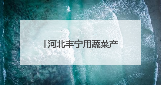 河北丰宁用蔬菜产业撑起农民钱袋子